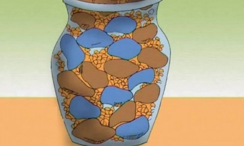 Những hòn đá cuội (Bài đọc hiểu tiếng Việt lớp 5 - đề số 6)